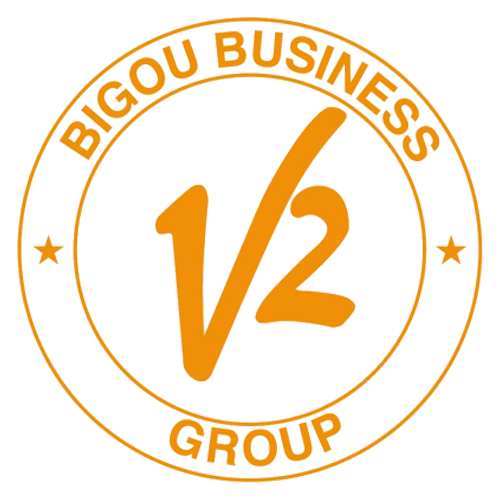 Partner 6